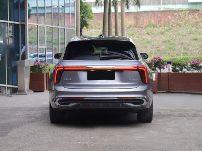 HongQi E-HS9  Фото №5